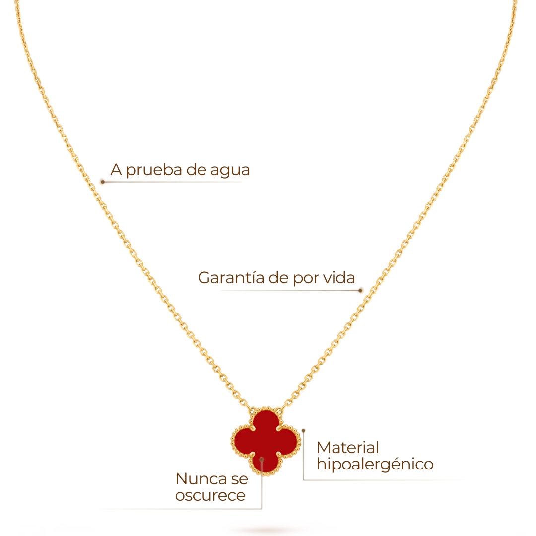 Collar Trébol Rubí Solitario – Baño de Oro 18K